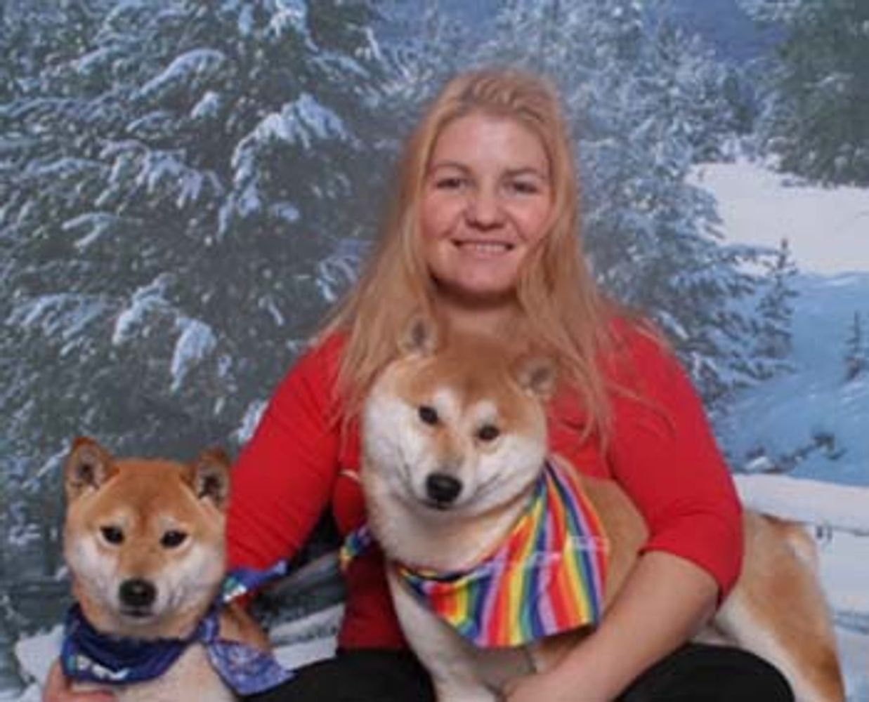 Sheer Heaven Grooming, Boarding, Training